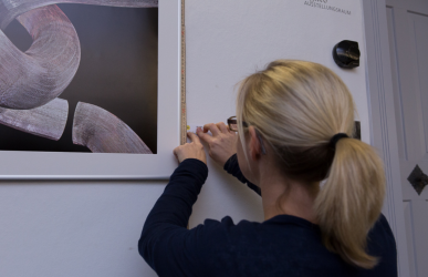 Aufhängen der Ausstellungsbilder