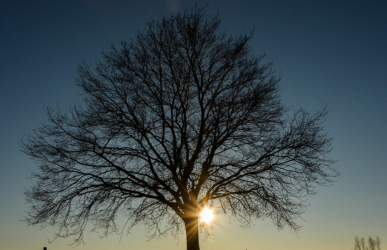 Fotoausstellung „Objektiv 2018“ in Nürnberg