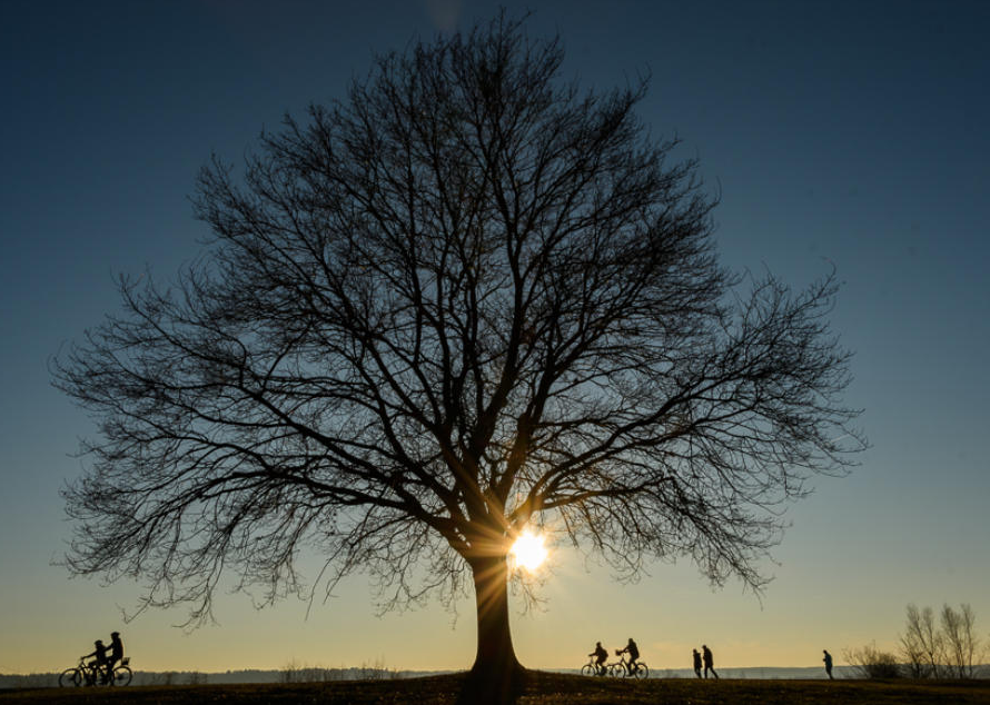 Fotoausstellung „Objektiv 2018“ in Nürnberg