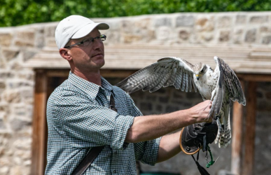 Fotowalk Rosenburg 2018