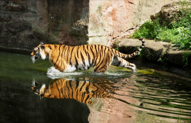 Fotowalk der Fotofreunde HIP im Tiergarten Nürnberg