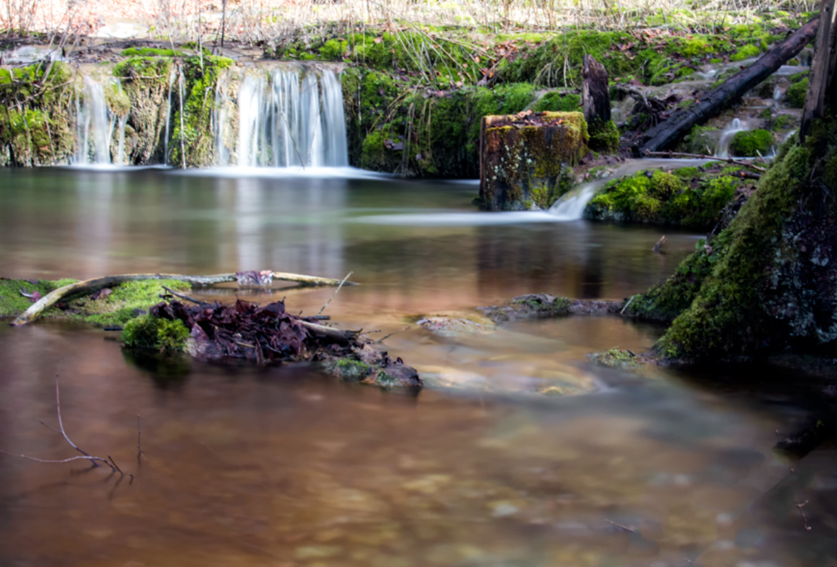 KALK-SINTERTERRASSEN im KAISINGER-TAL 2021