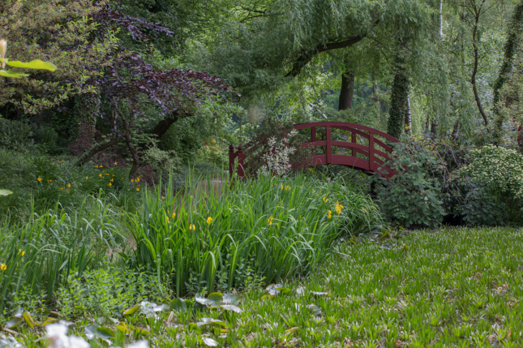 Schlosspark Dennenlohe