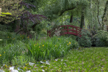 Schlosspark Dennenlohe