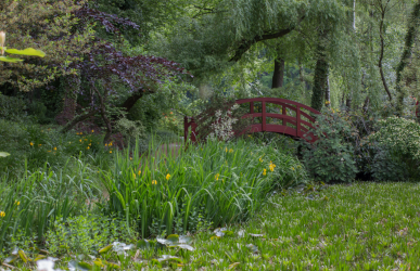 Schlosspark Dennenlohe