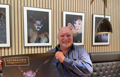 Von Jungfrauen und Teufeln